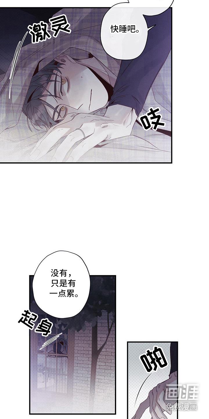 第52章：就这样睡着了?