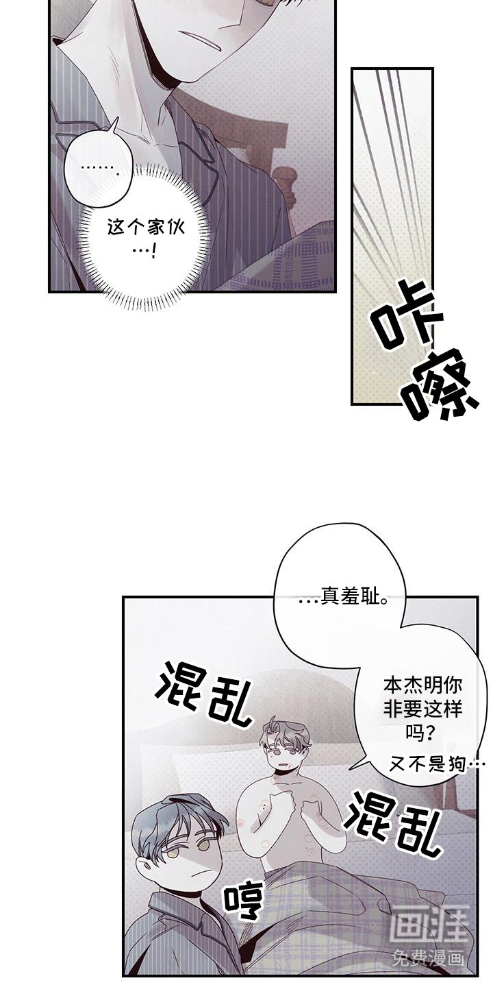 第52章：就这样睡着了?