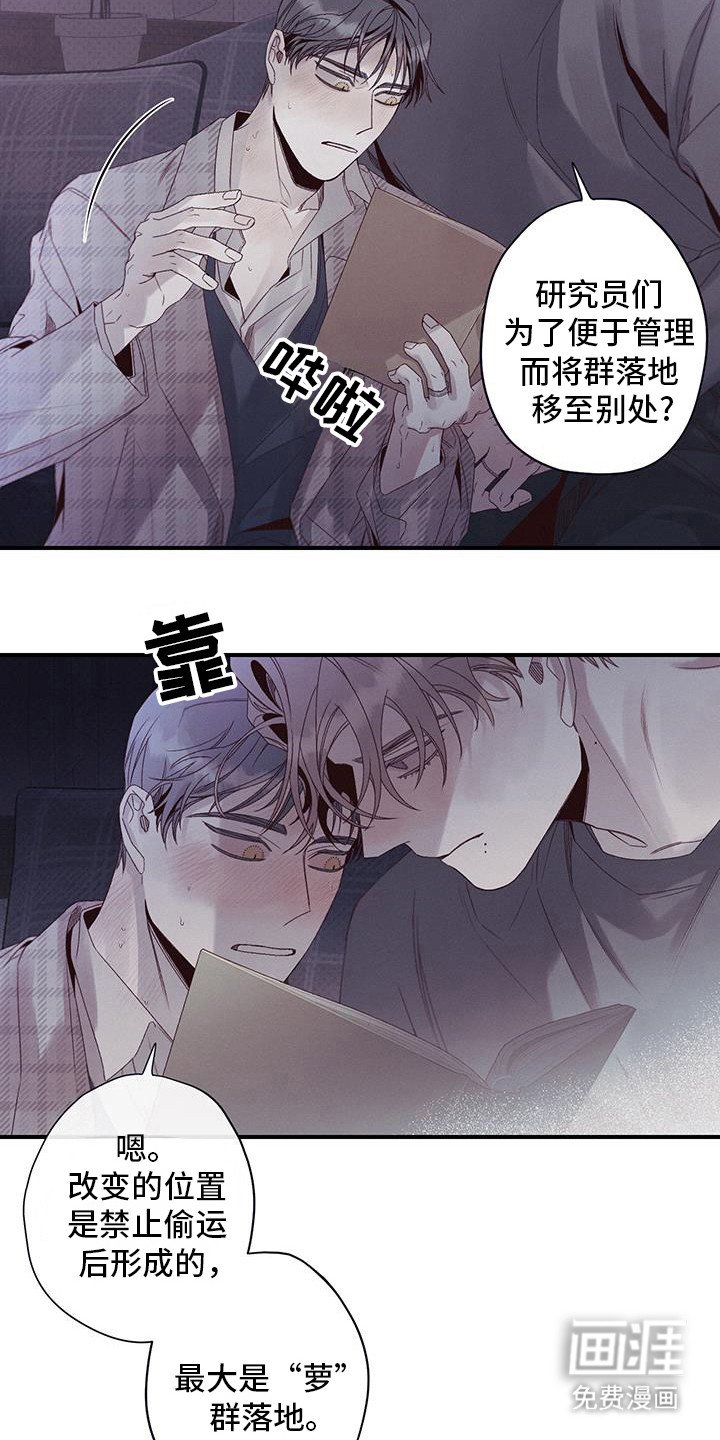 第57章：标记的萝