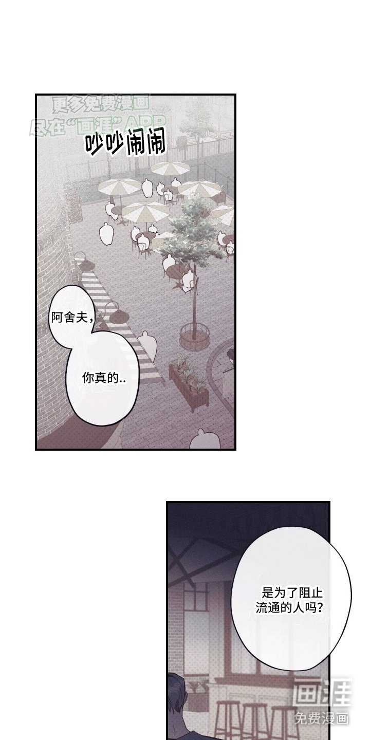 第6章：观赏性植物