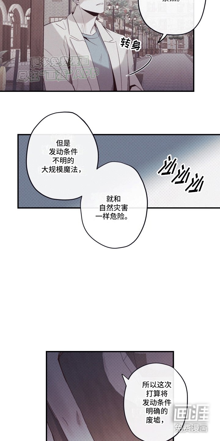 第6章：观赏性植物