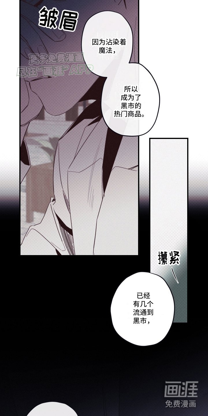 第6章：观赏性植物