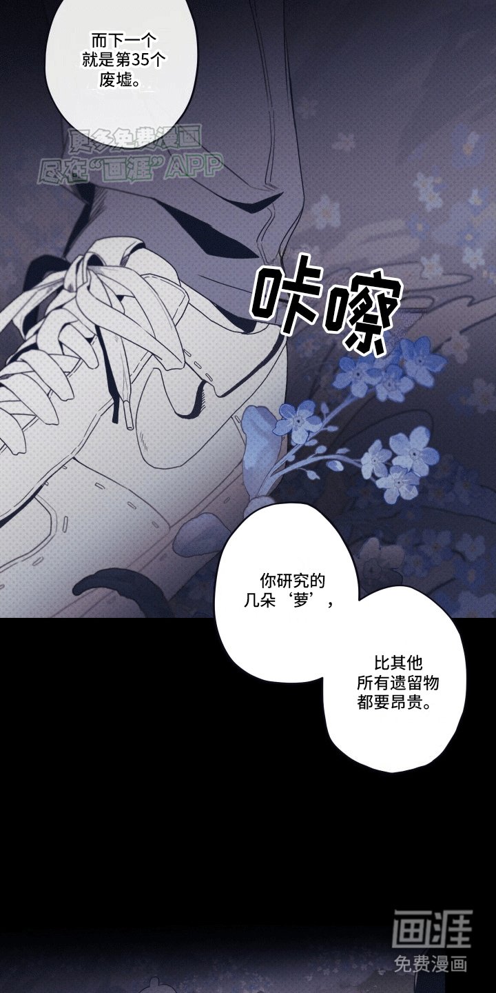 第6章：观赏性植物