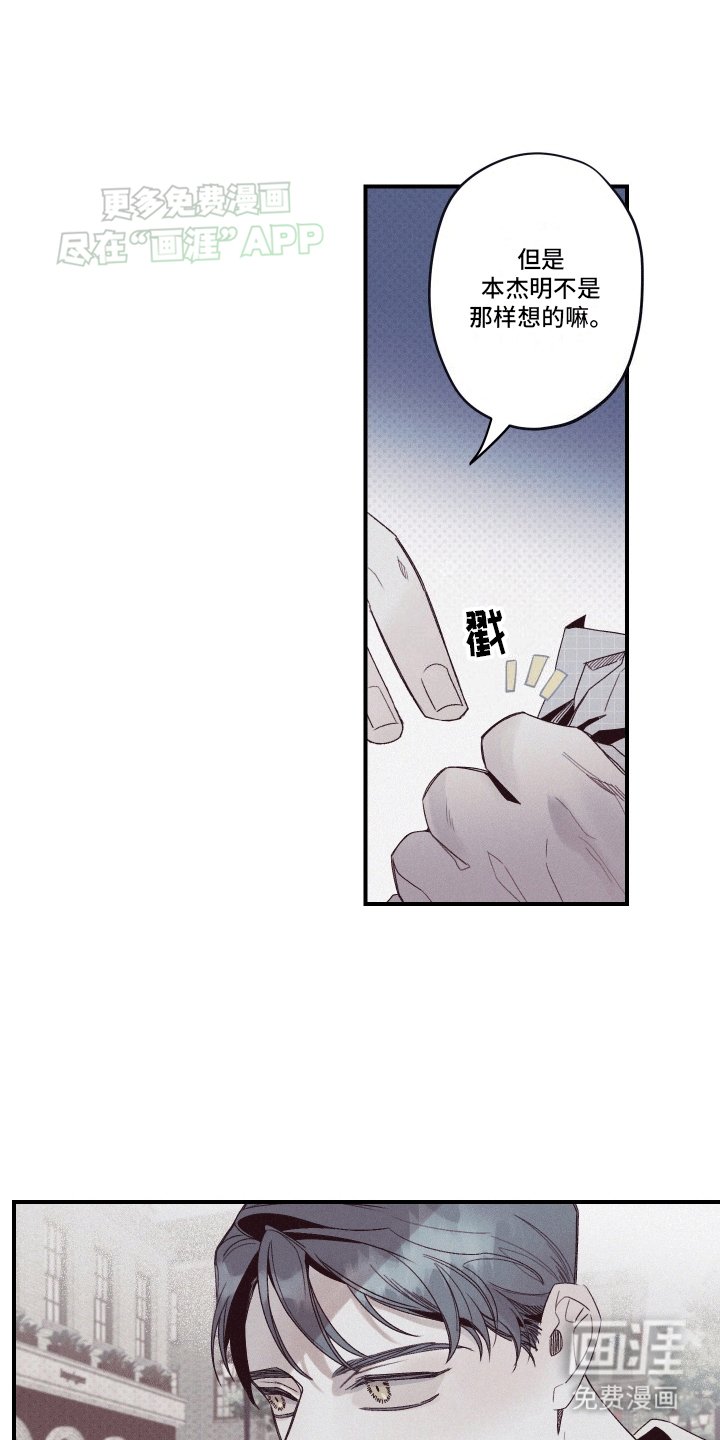第6章：观赏性植物