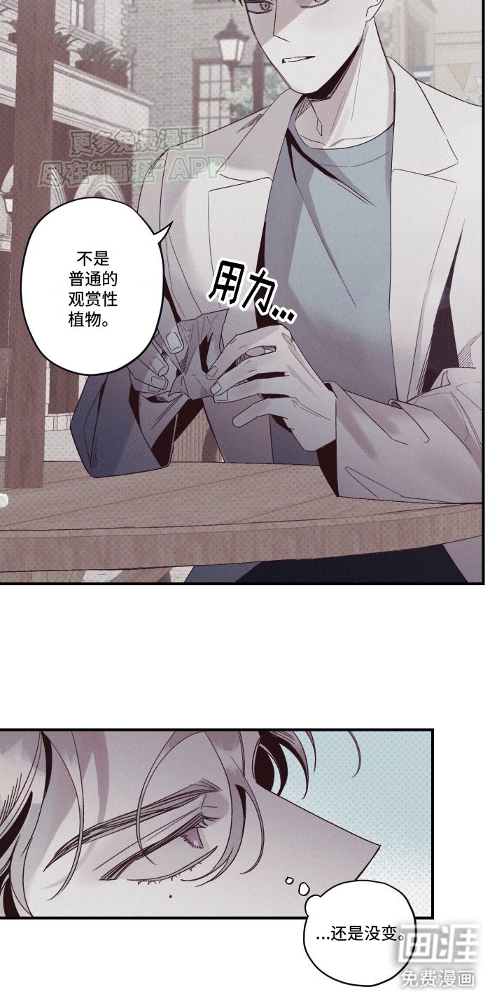 第6章：观赏性植物