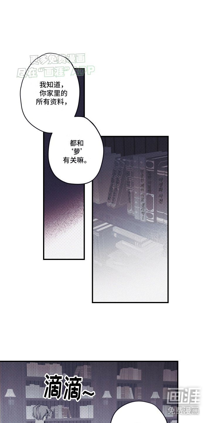 第6章：观赏性植物