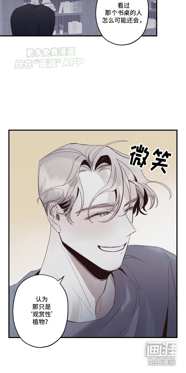 第6章：观赏性植物