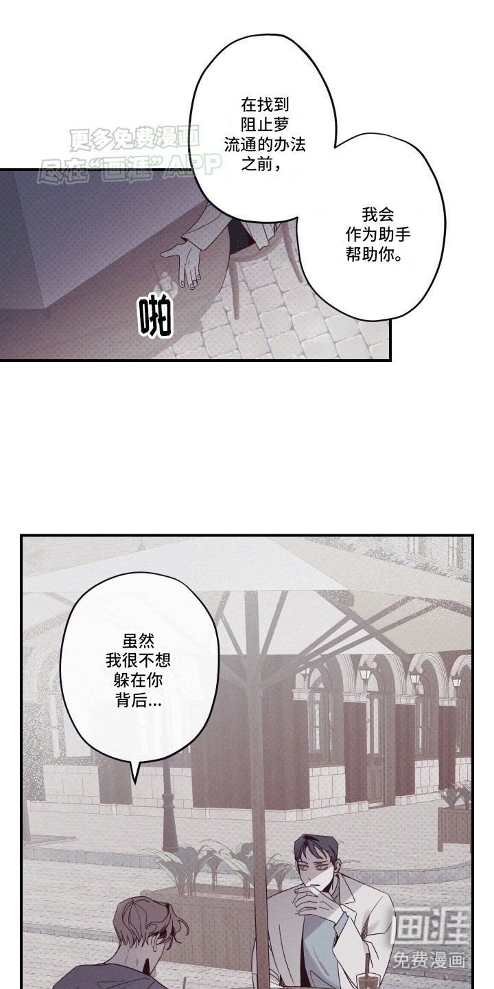 第6章：观赏性植物