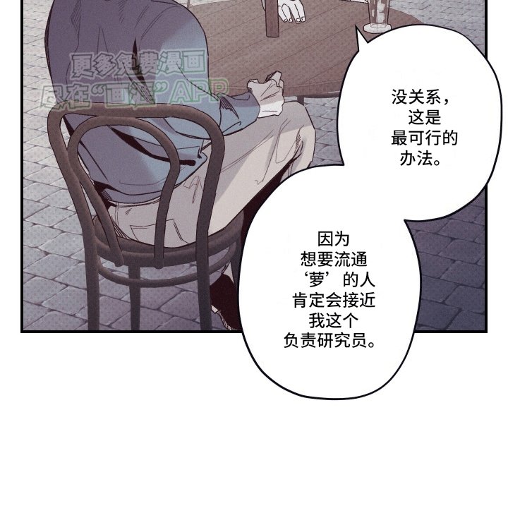 第6章：观赏性植物