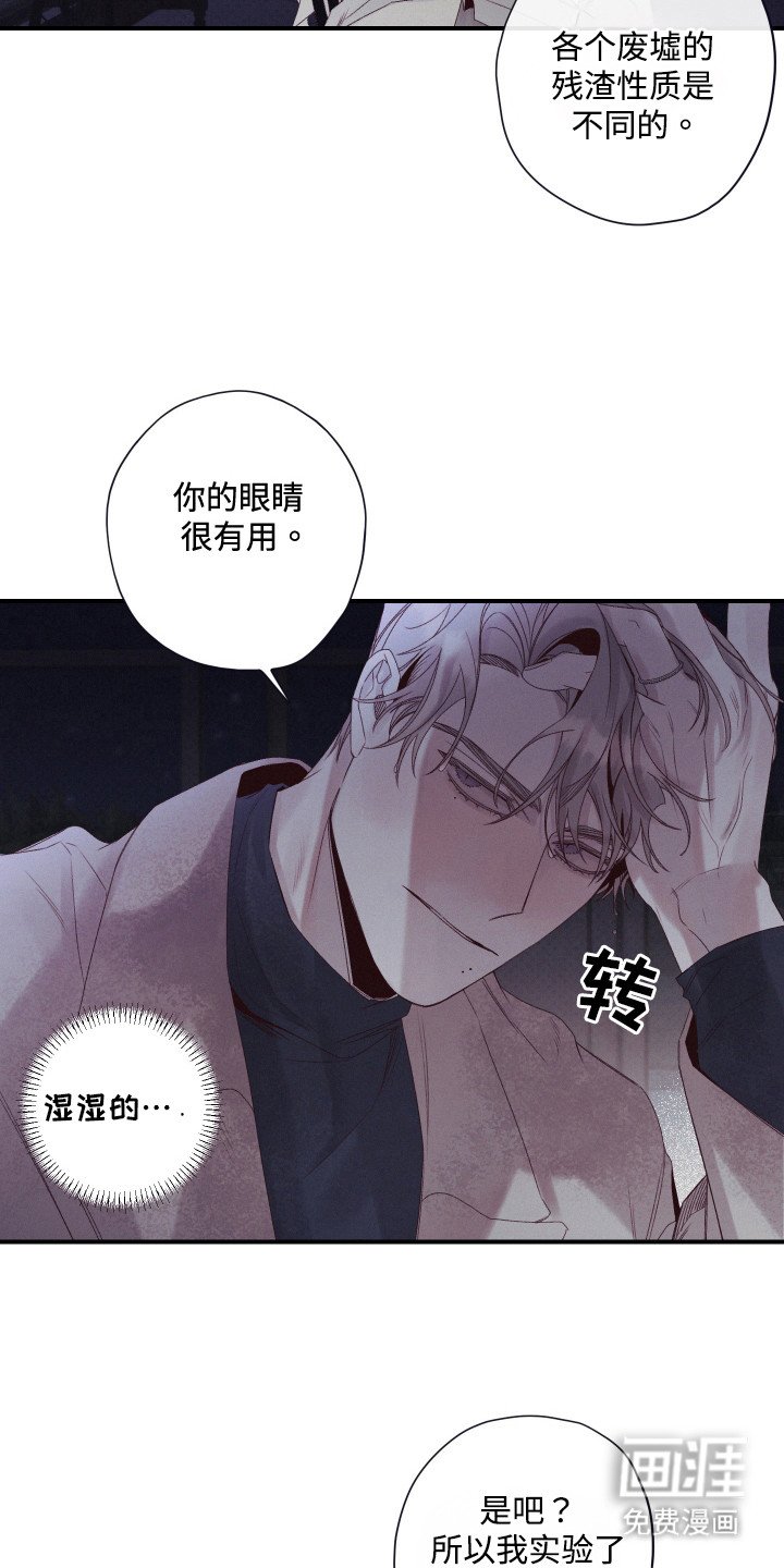 第65章：萝的价值