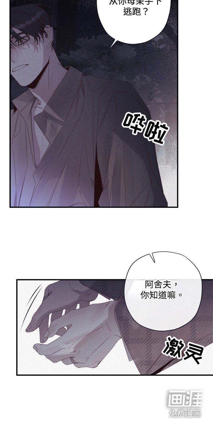 第65章：萝的价值
