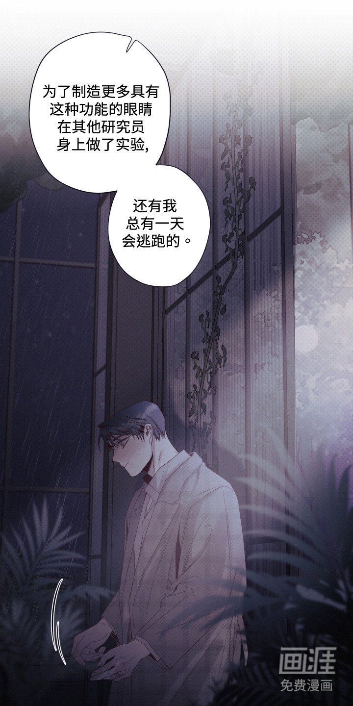 第65章：萝的价值
