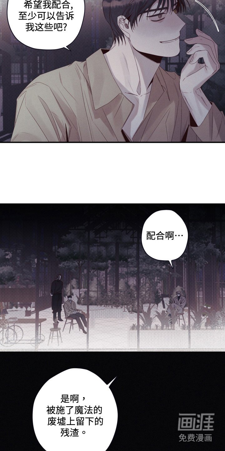 第65章：萝的价值