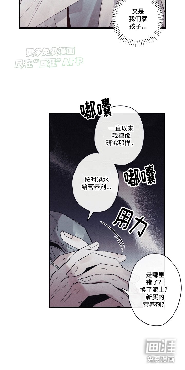 第7章：圆圆的