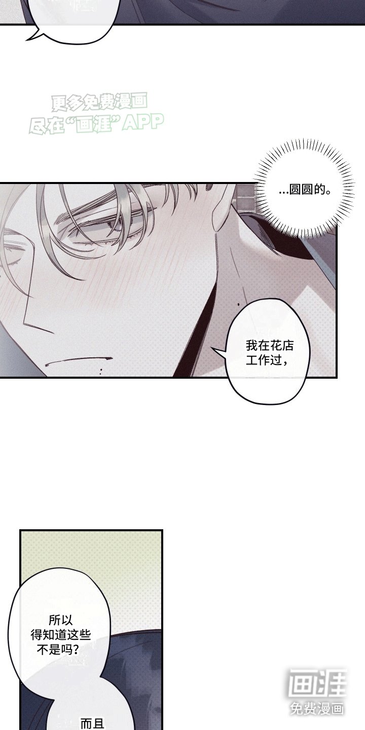 第7章：圆圆的