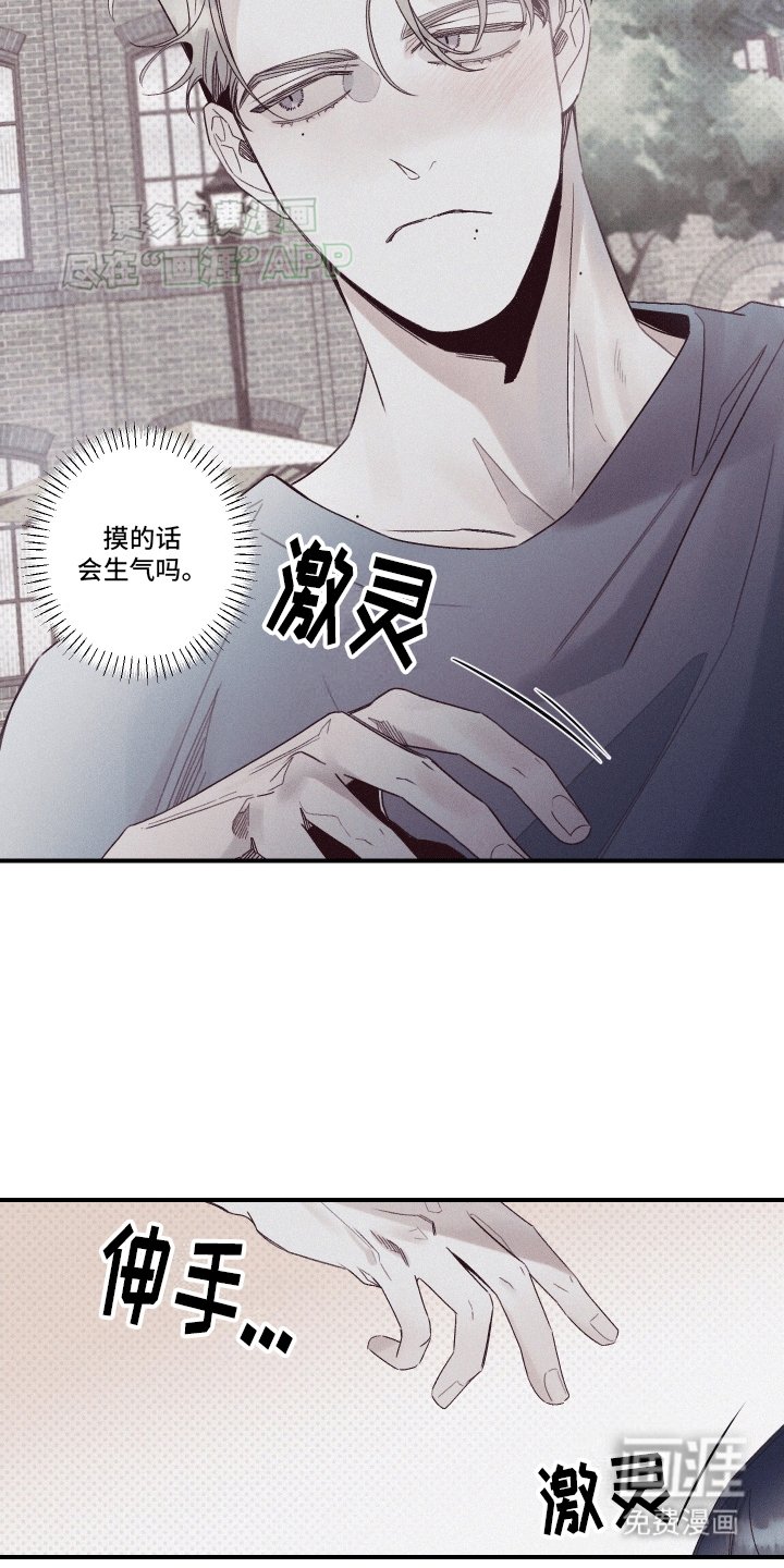 第7章：圆圆的