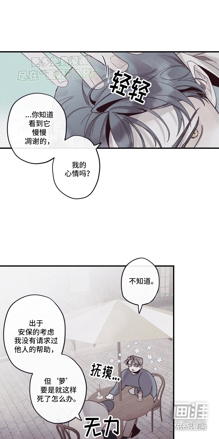 第7章：圆圆的