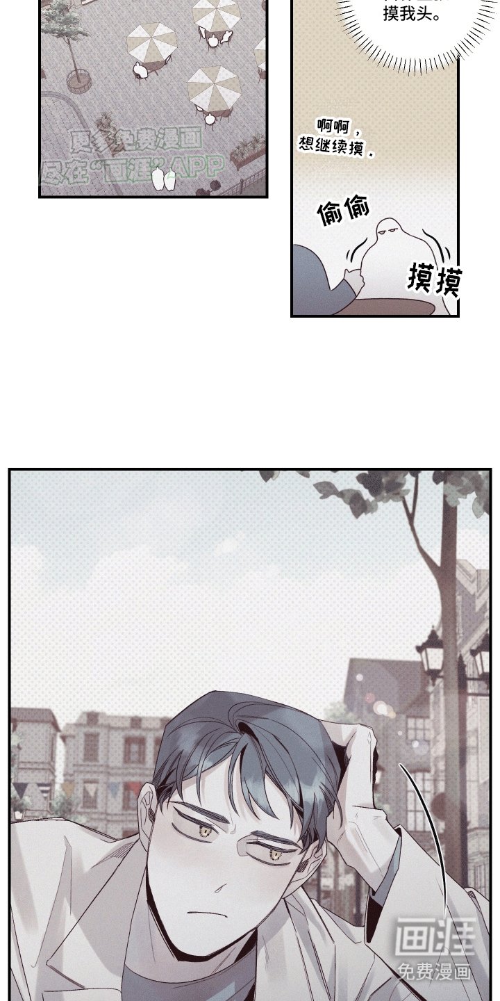 第7章：圆圆的