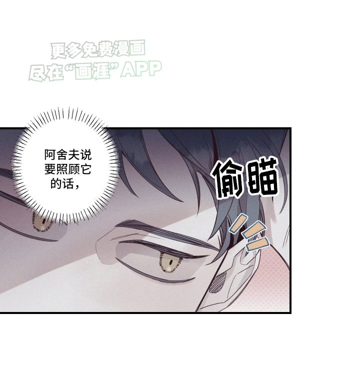 第7章：圆圆的