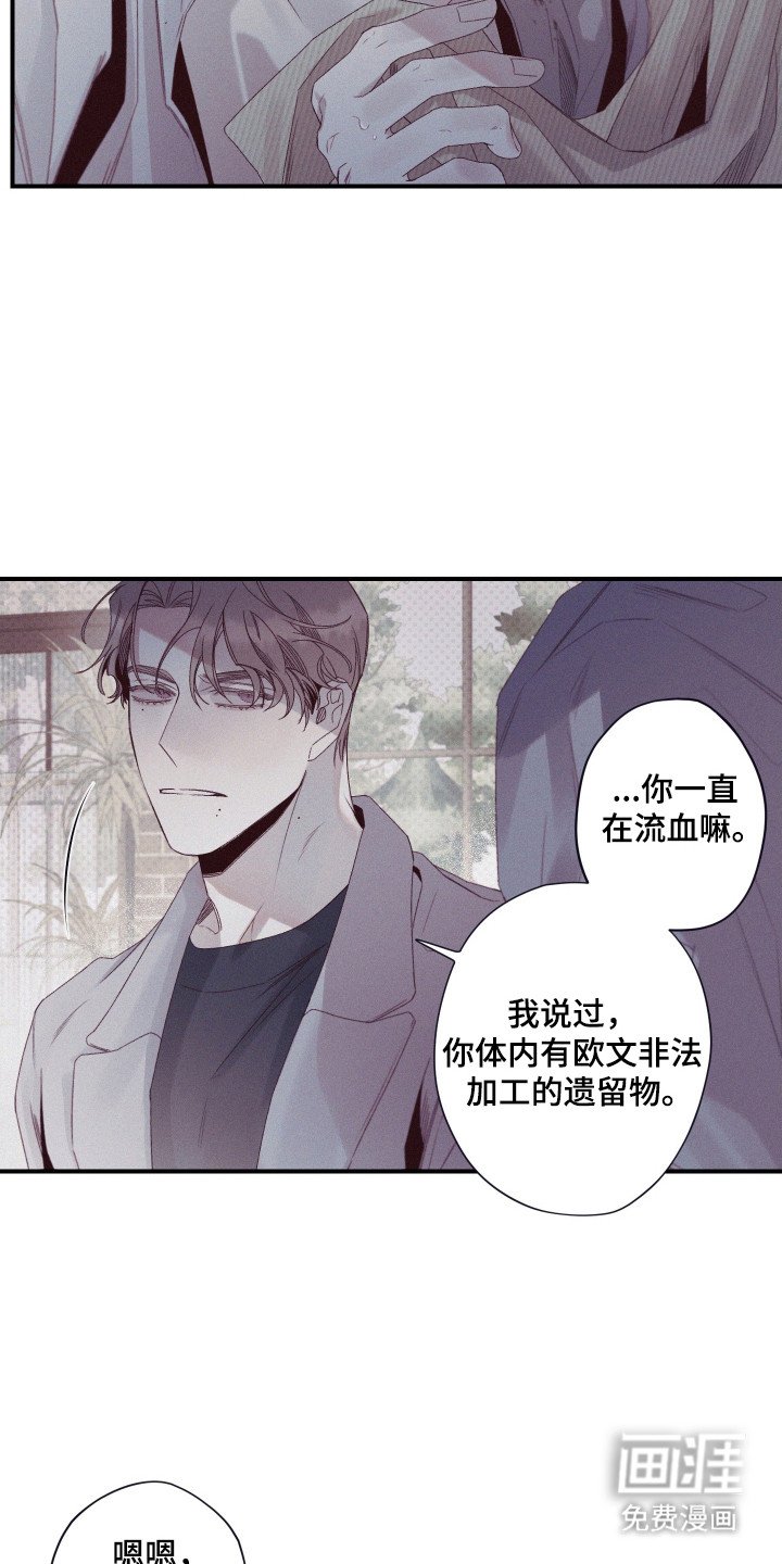 第70章：【第二季】无数谎言