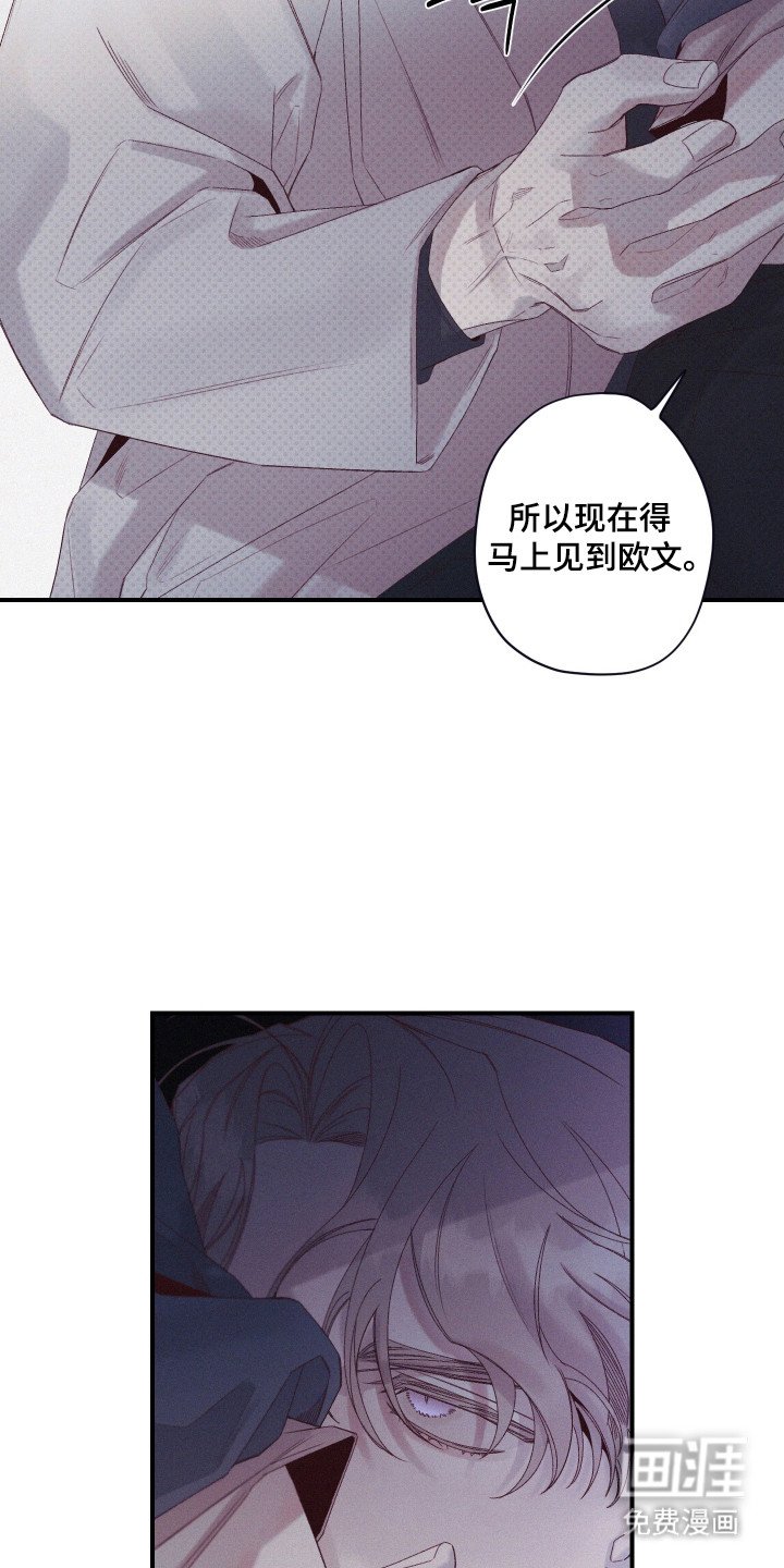 第70章：【第二季】无数谎言