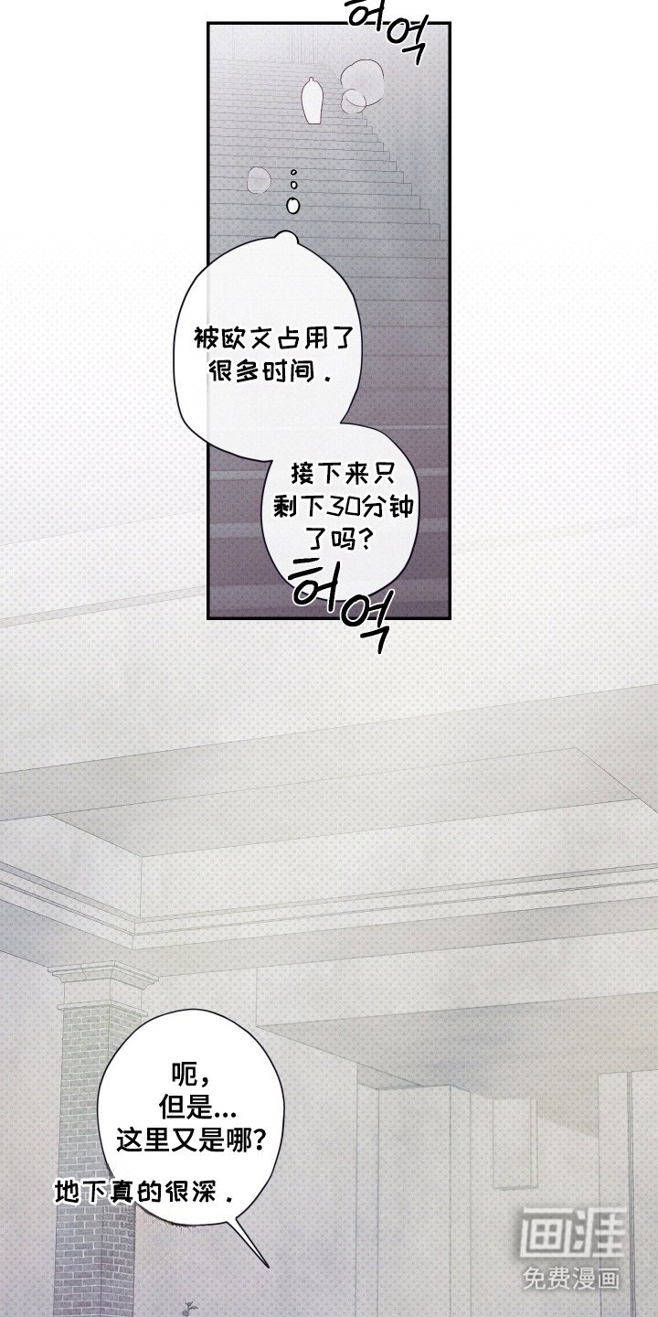 第80章：【第二季】我的助手
