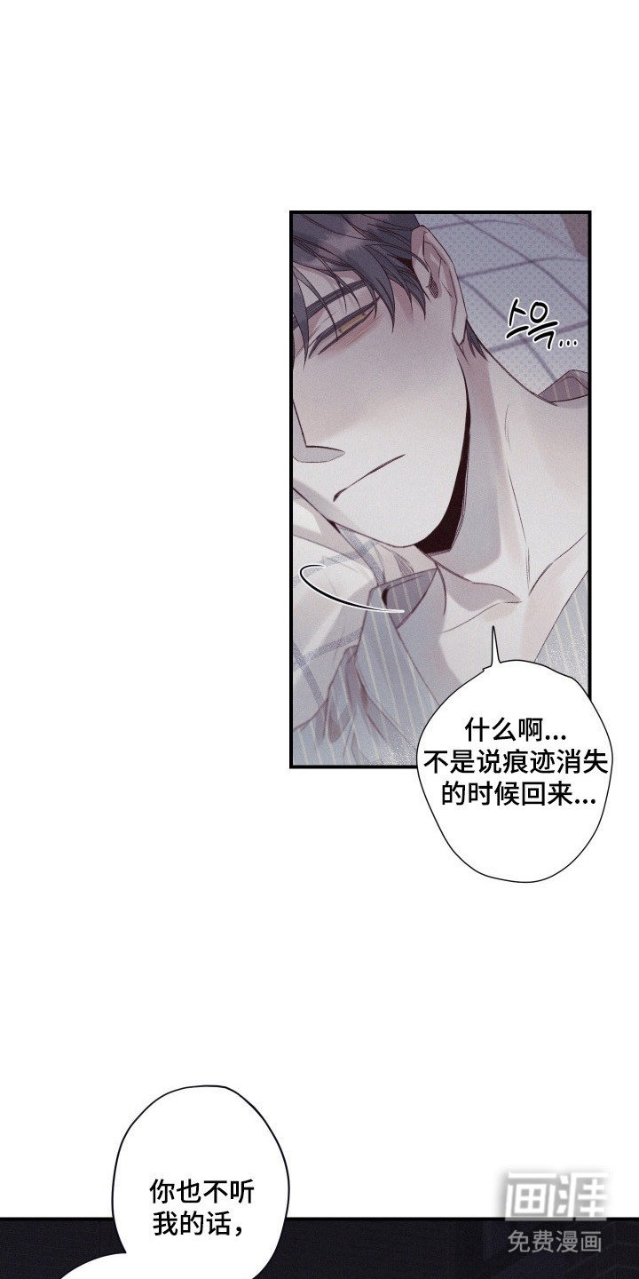 第84章：【第二季】消失不见