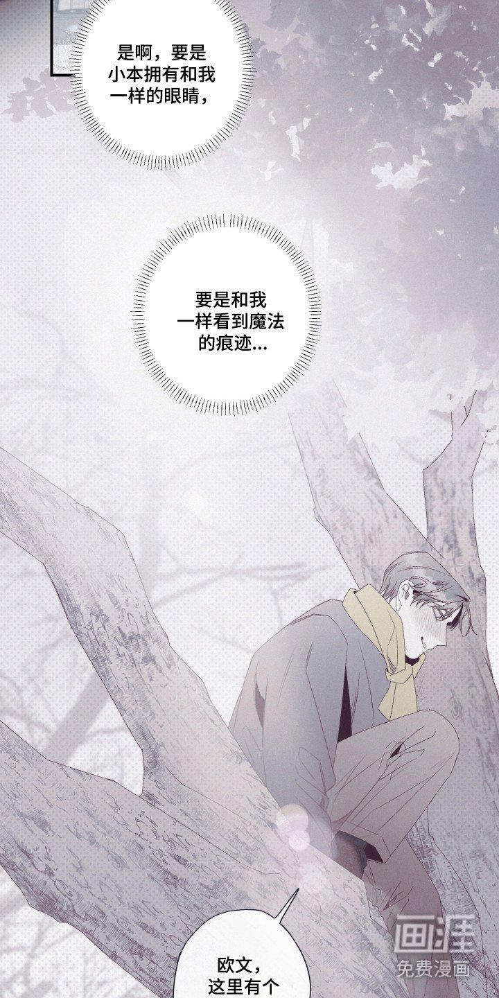 第90章：【第二季】魔法痕迹