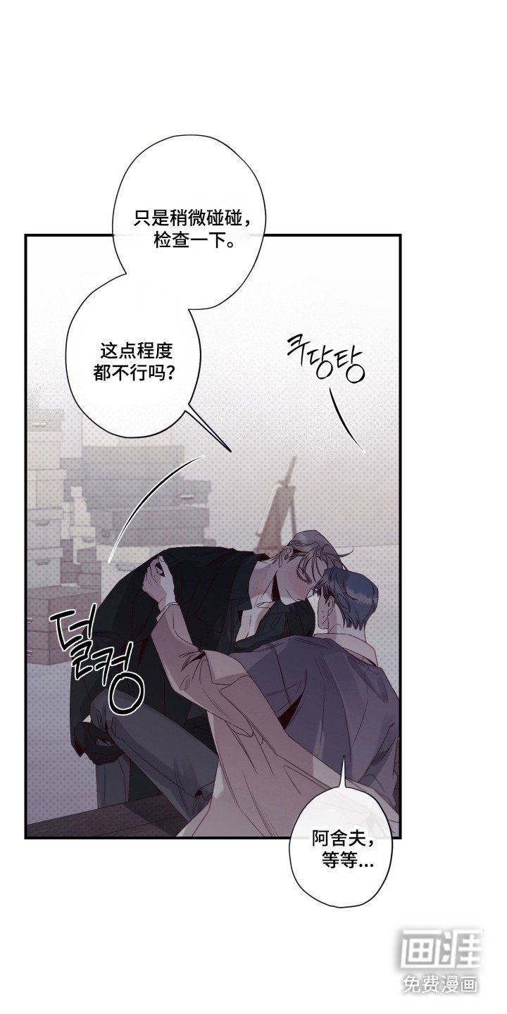 第95章：方便研究
