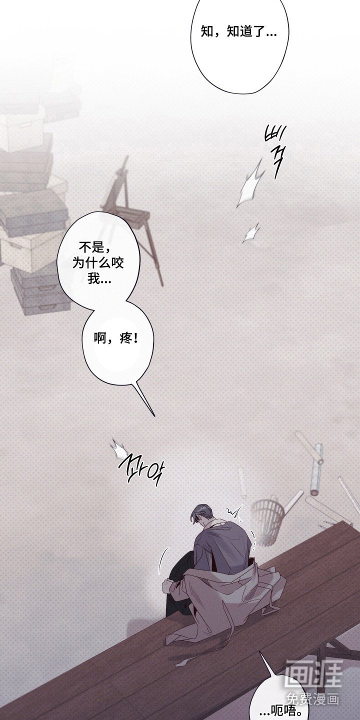第95章：方便研究