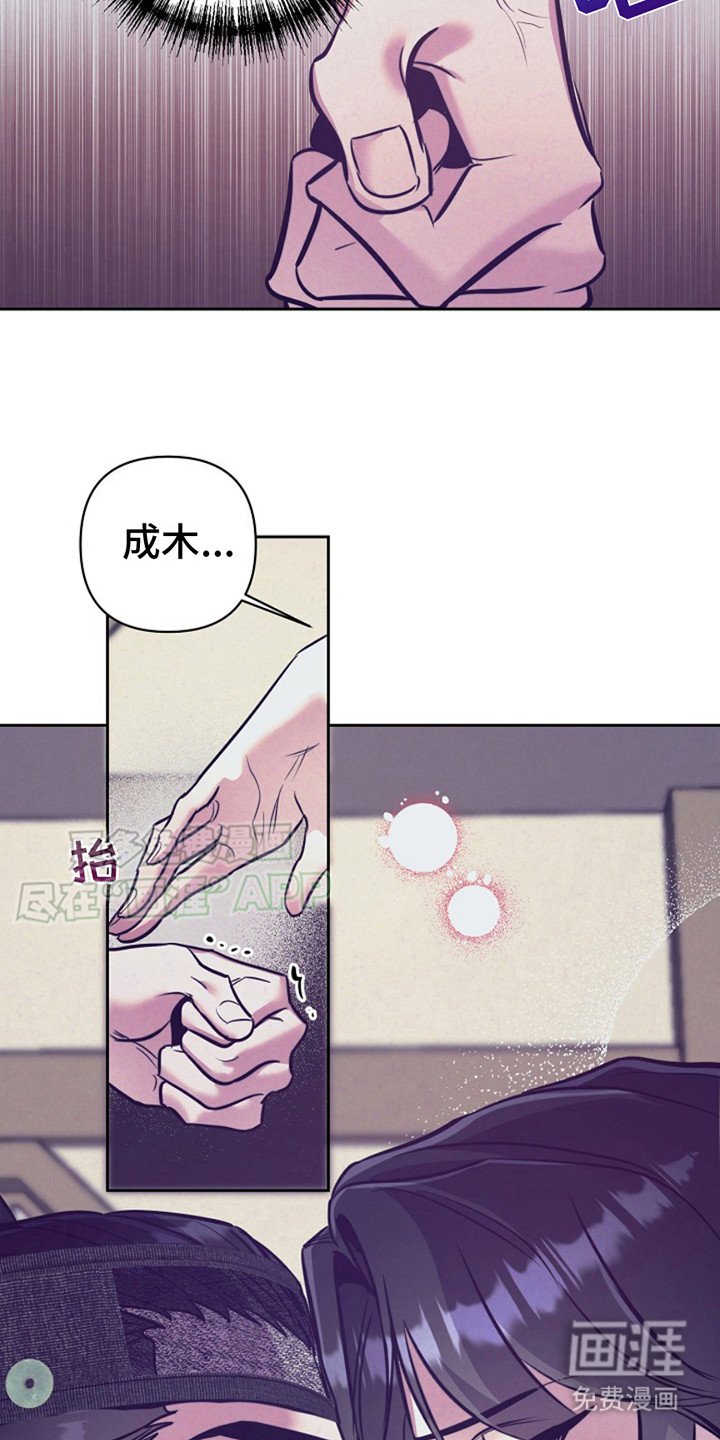 第13章：计划