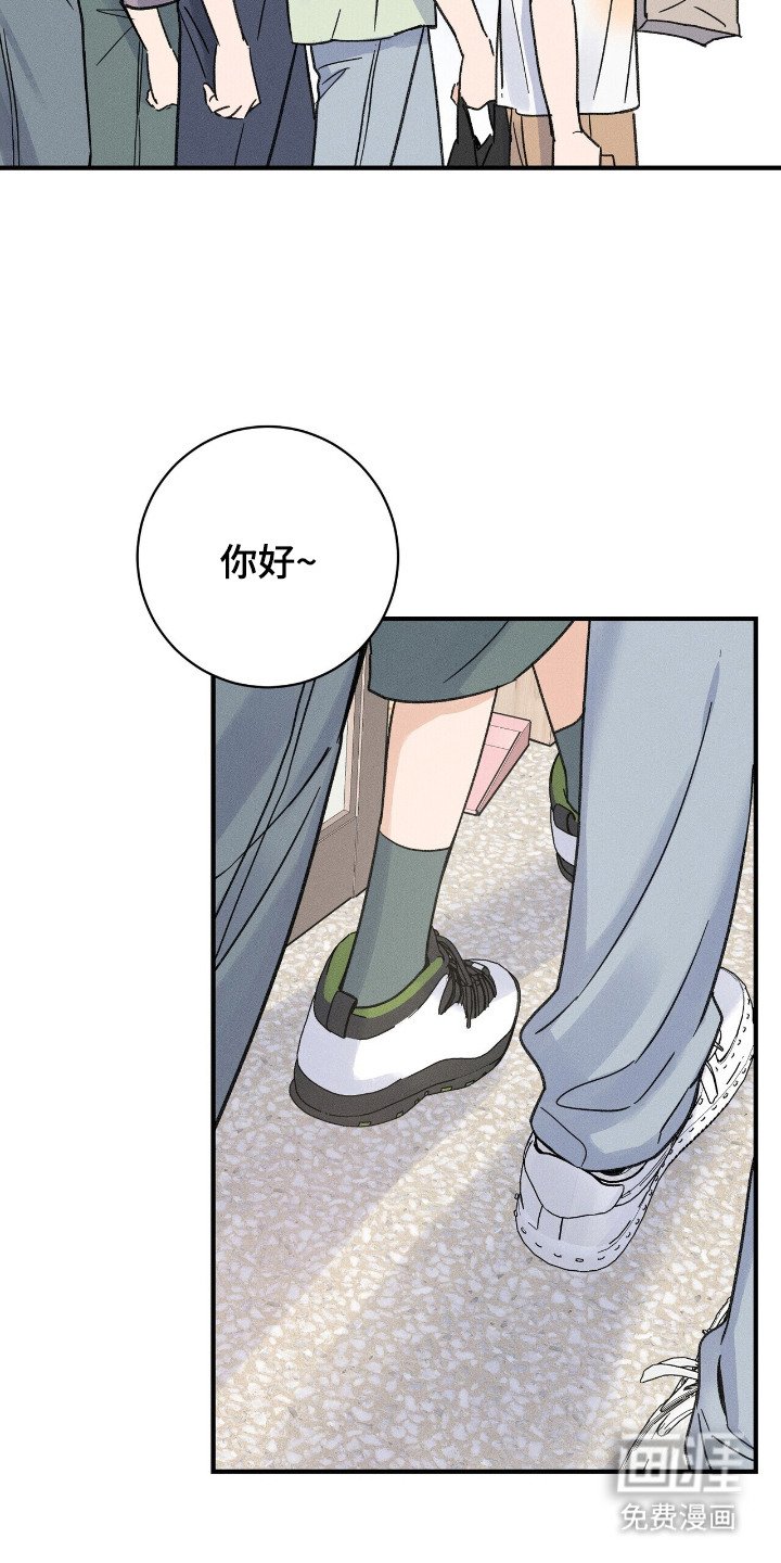 第14章：杂志