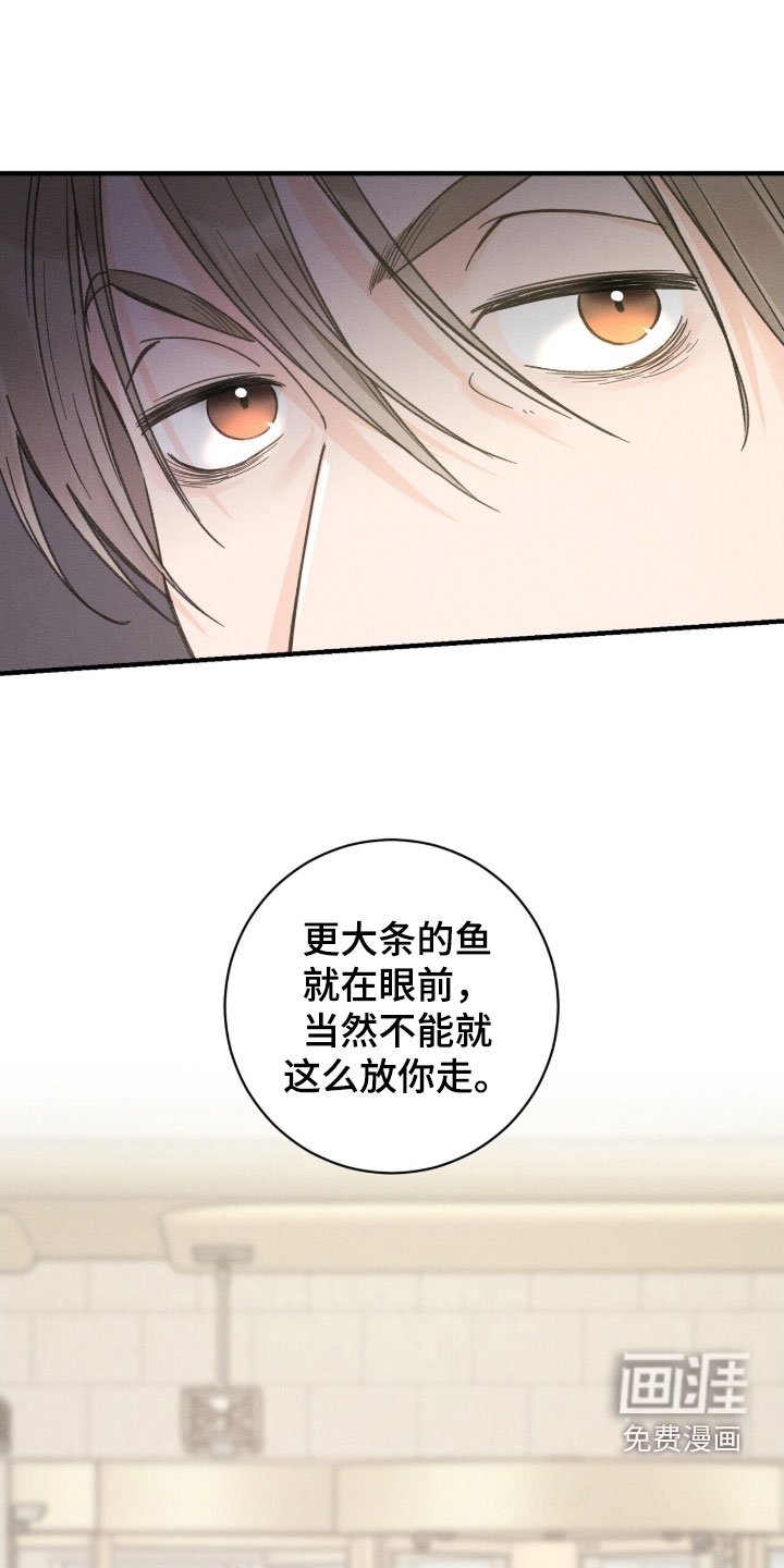 第20章：大鱼