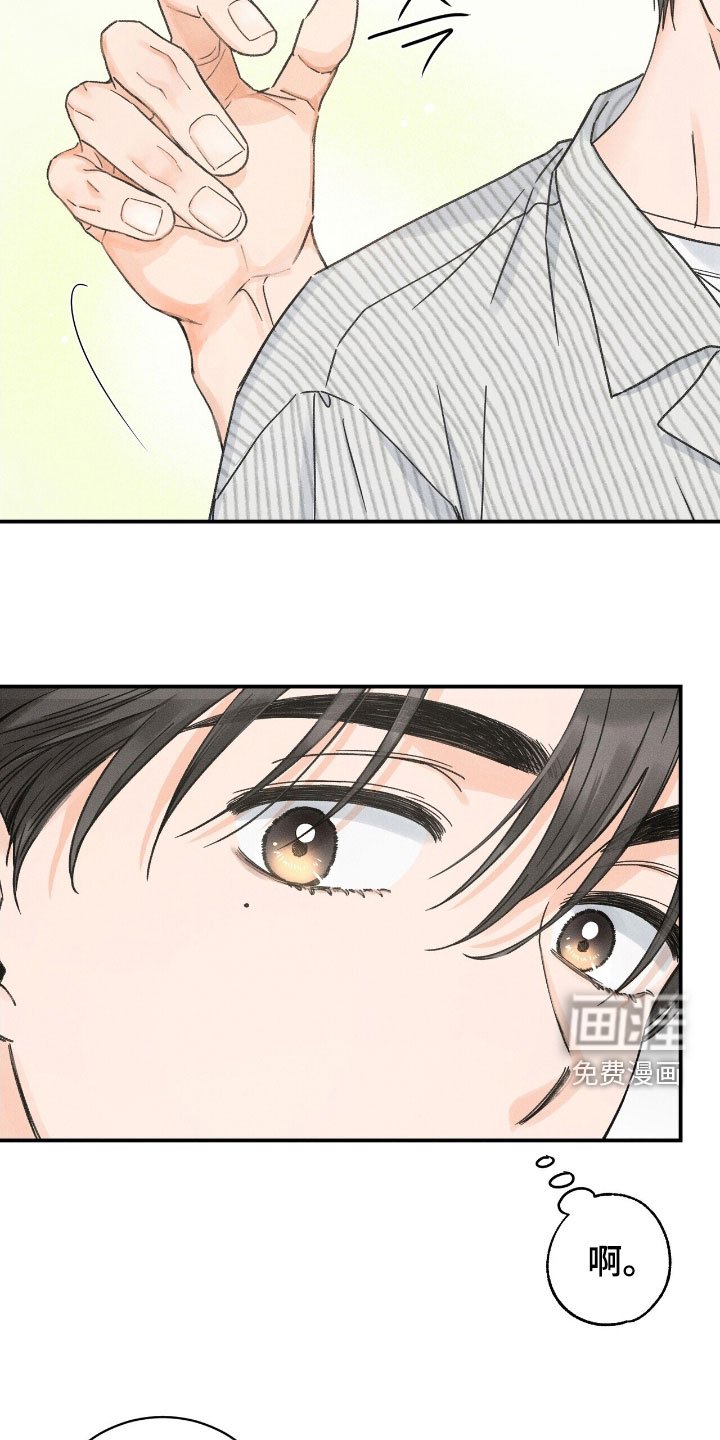 第21章：表演