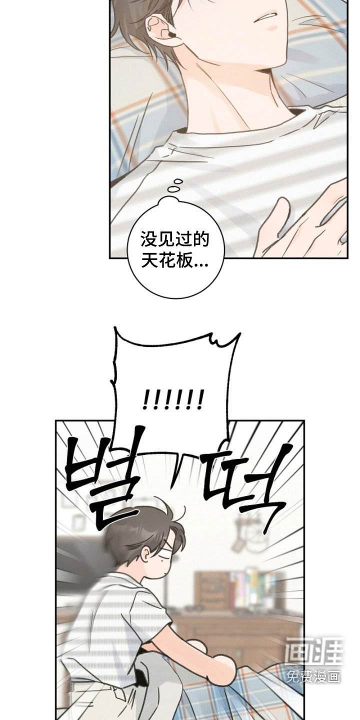 第31章：很想摆烂