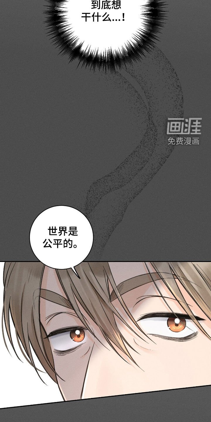 第35章：照片
