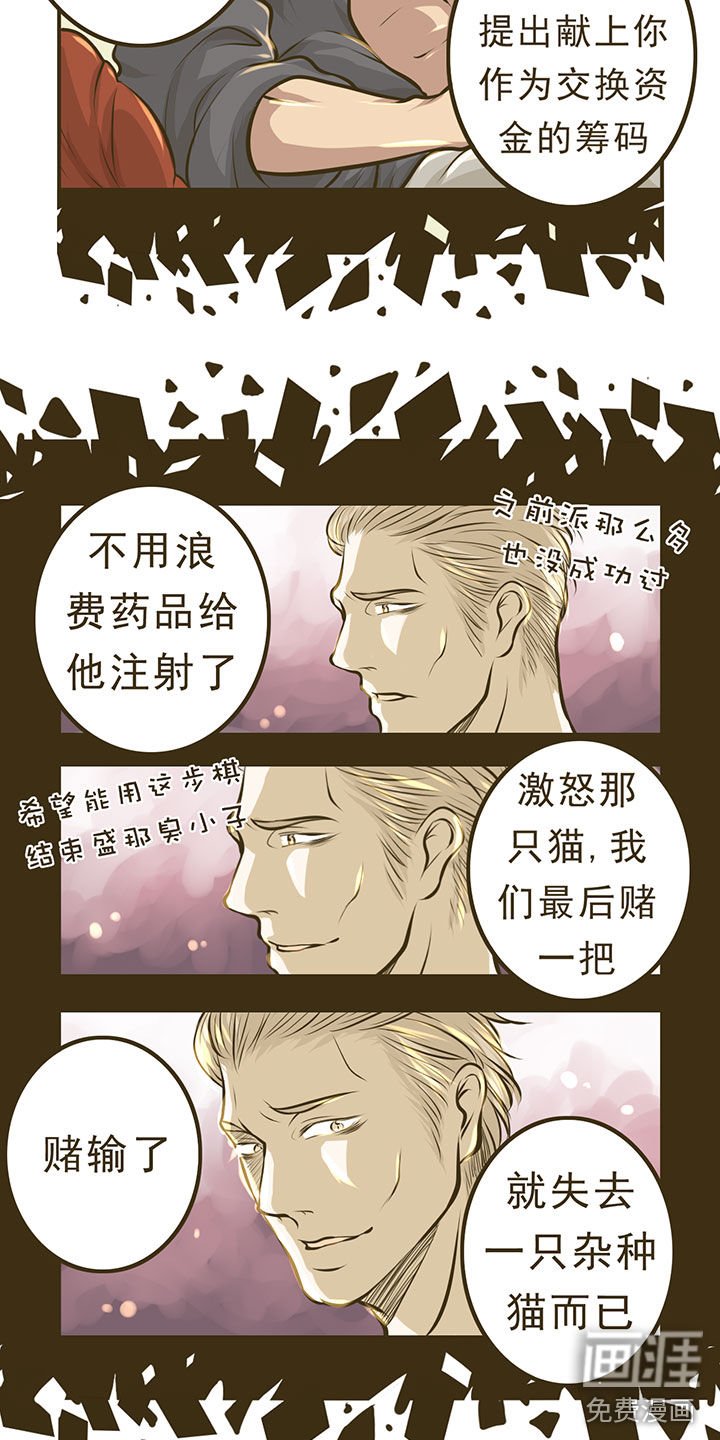第10章：