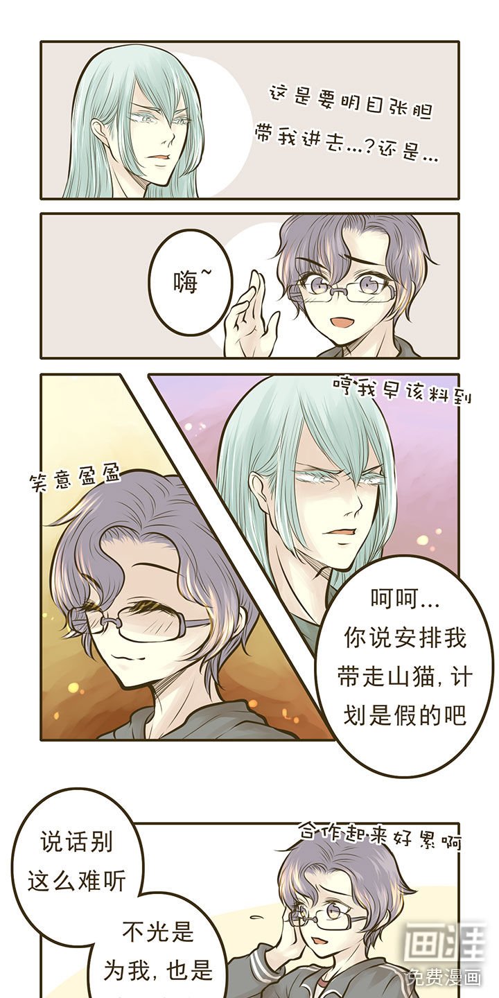 第11章：