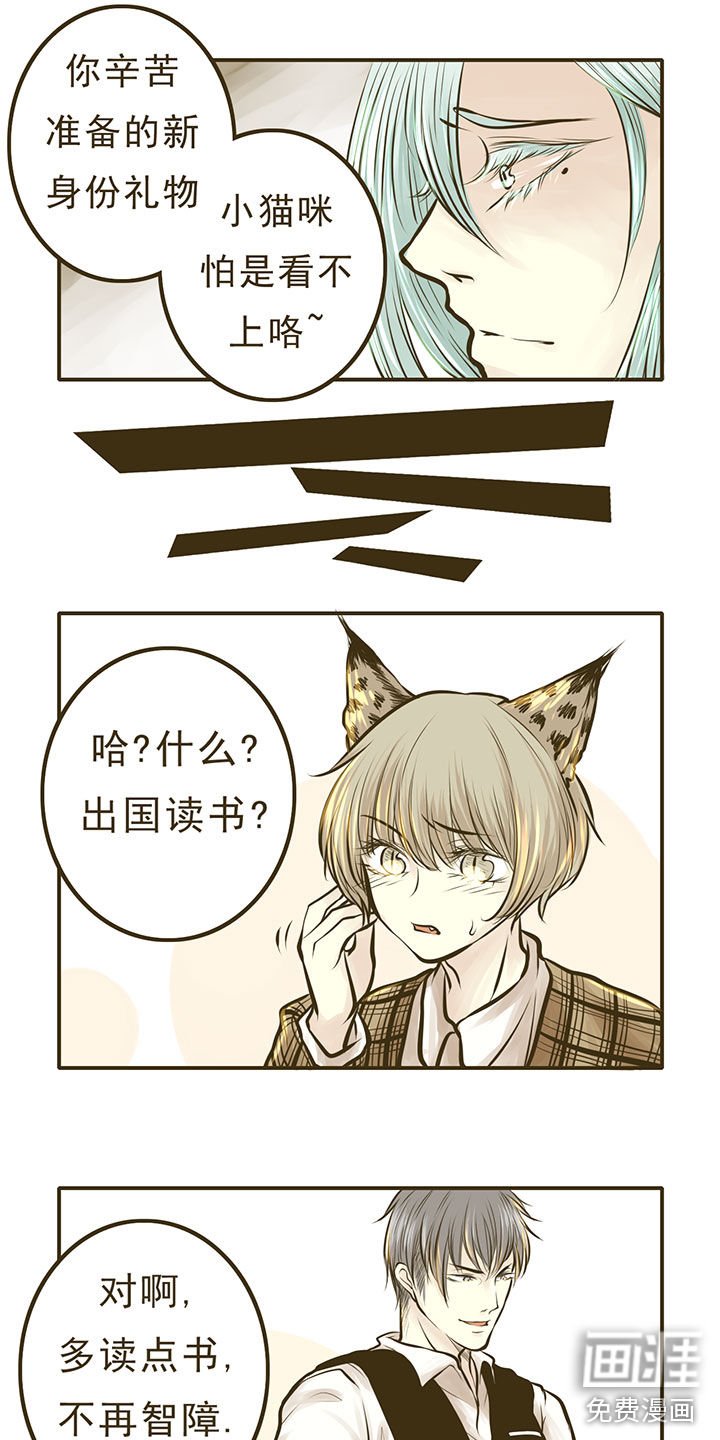 第11章：