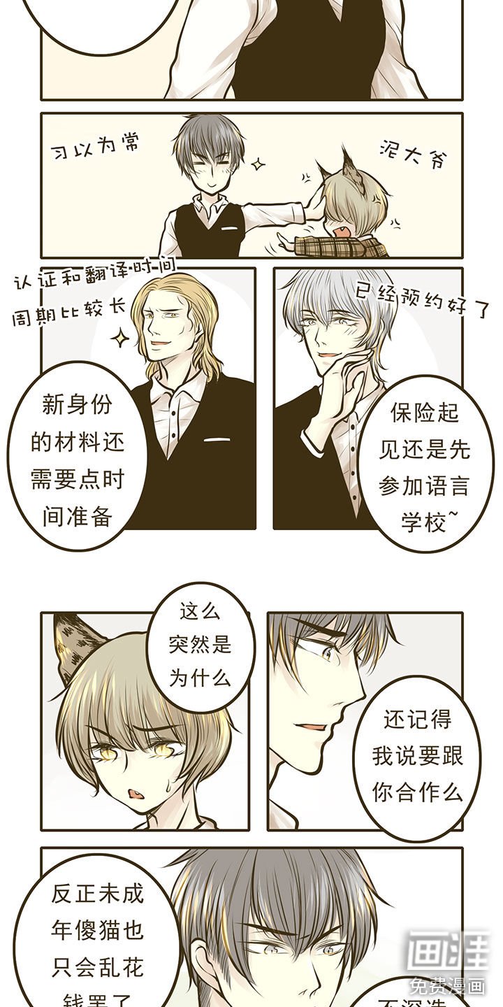第11章：