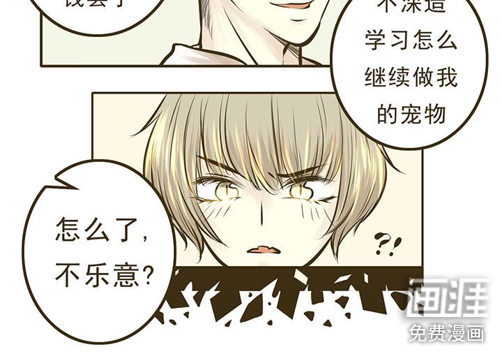 第11章：