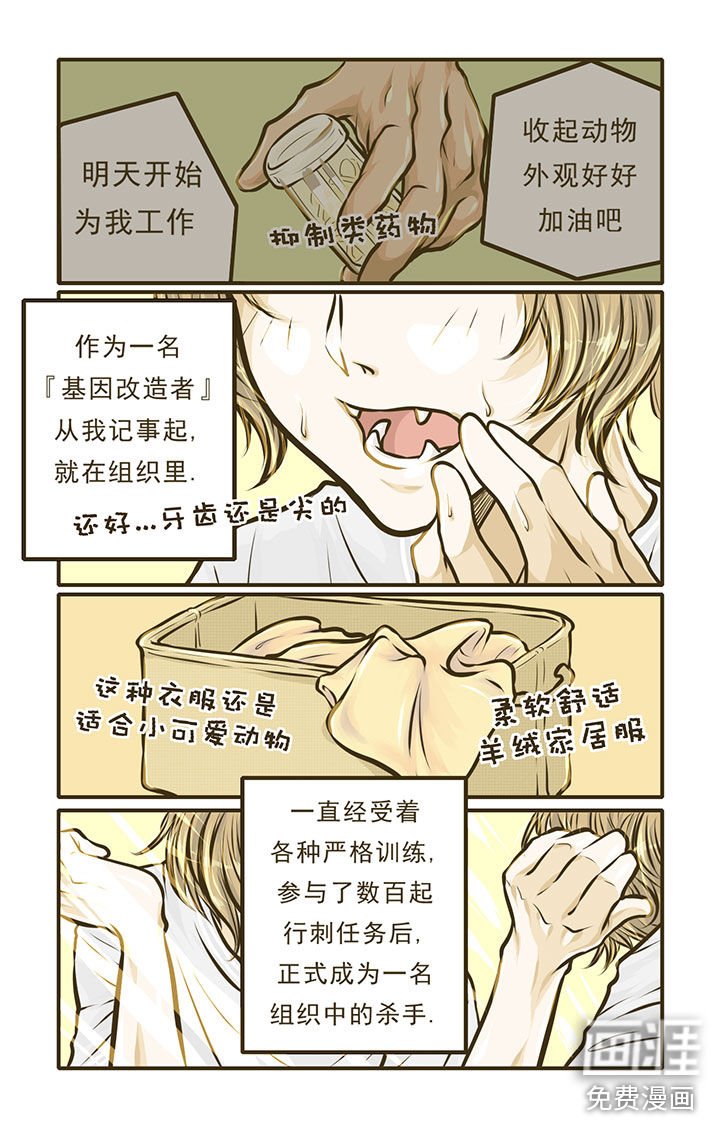 第3章：