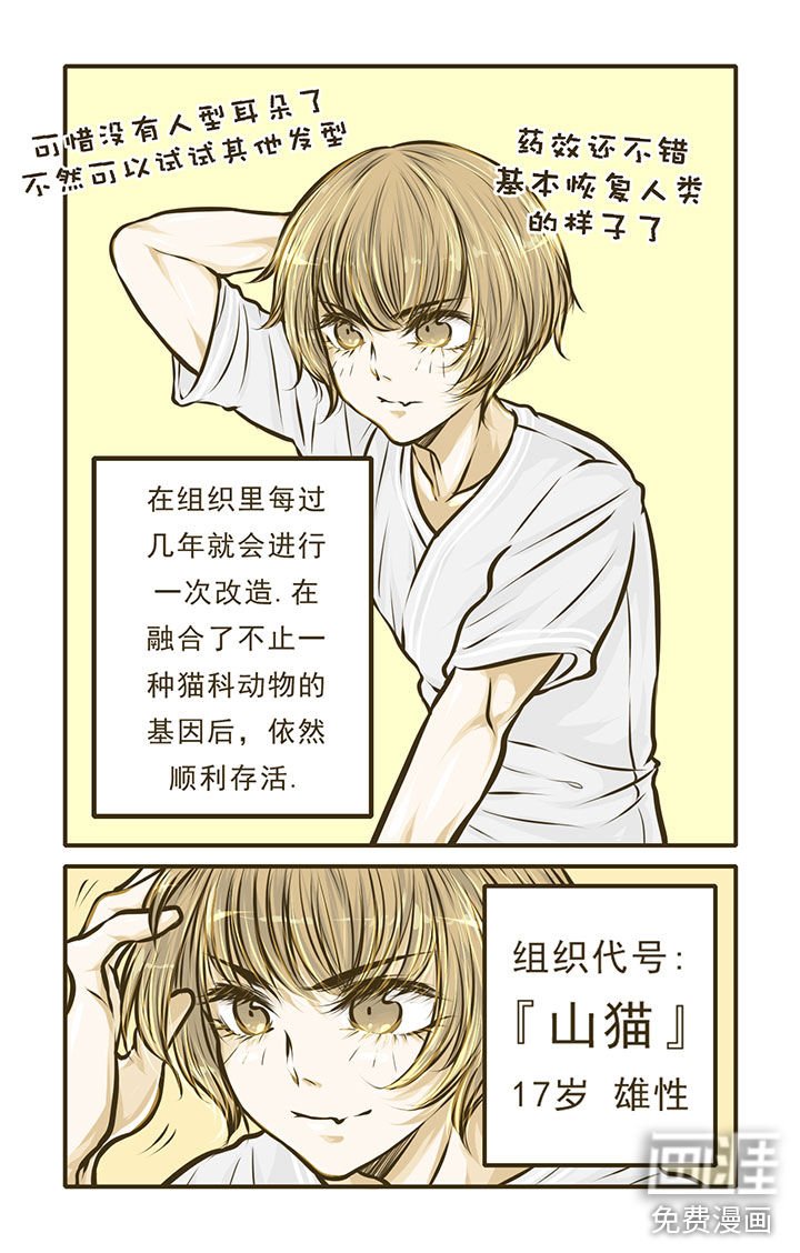 第3章：
