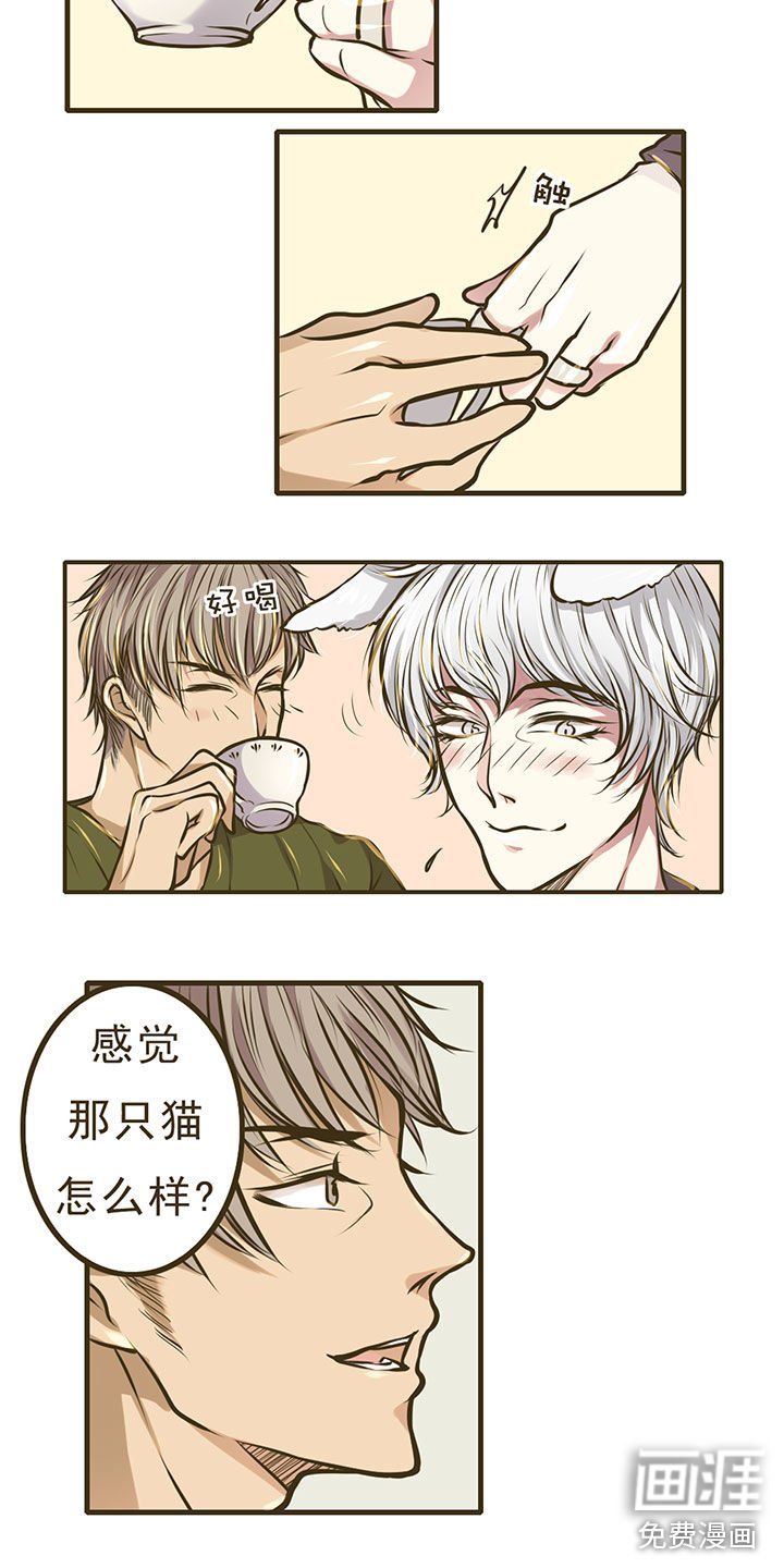 第6章：