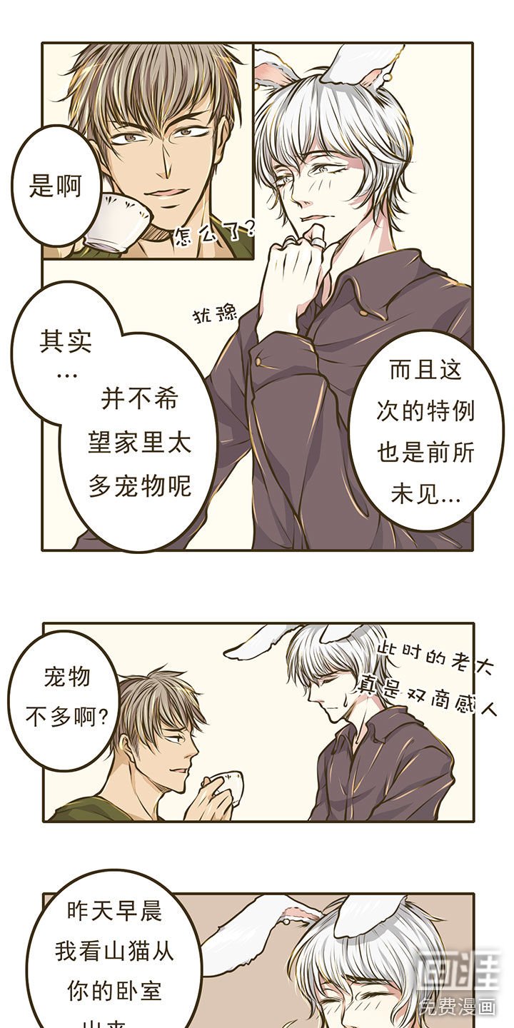 第6章：