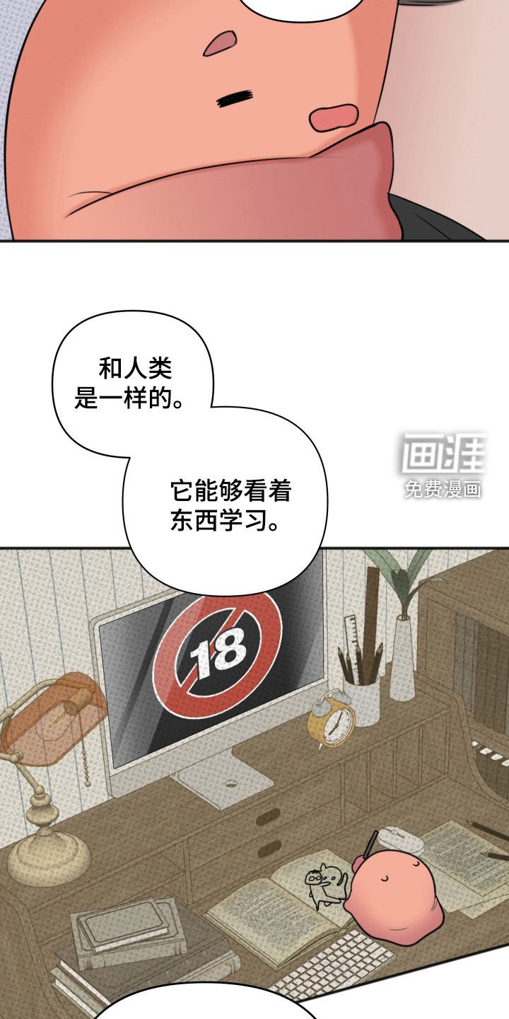 第13章：最佳的条件