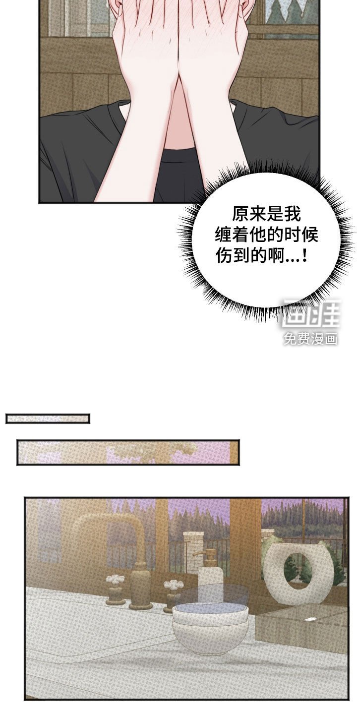 第16章：伤口