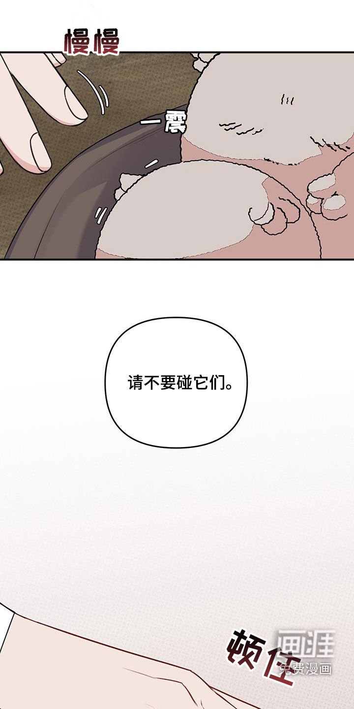 第29章：有妇之夫