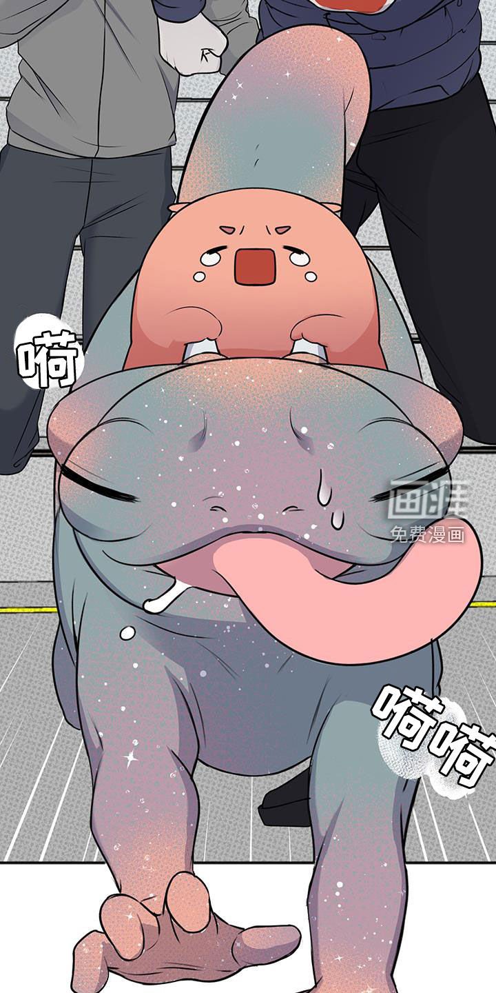 第35章：我不会杀他