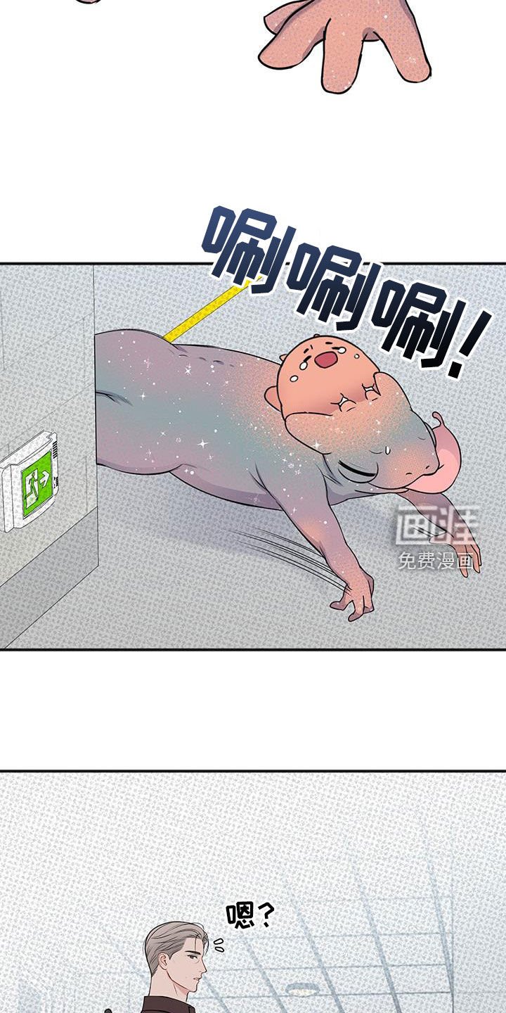 第35章：我不会杀他